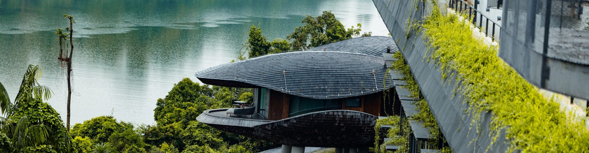 Mandai Rainforest by Banyan Tree
